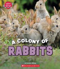 Produktbild: A Colony of Rabbits (Learn About: Animals)
