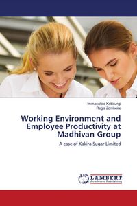 Produktbild: Working Environment and Employee Productivity at Madhivan Group