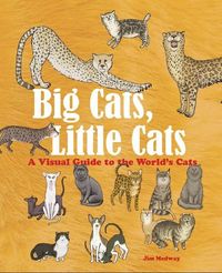 Produktbild: Medway, J: Big Cats, Little Cats