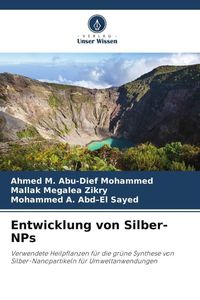 Produktbild: Entwicklung von Silber-NPs