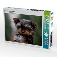 Produktbild: CALVENDO Puzzle Yorkshire-Terrier Welpe | 1000 Teile Lege-Gr&ouml;&szlig;e 64x48cm Foto-Puzzle f&uuml;r gl&uuml;ckliche Stunden