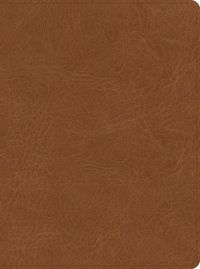 Produktbild: CSB He Reads Truth Bible, Saddle Leathertouch, Indexed