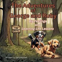 Produktbild: Big Feelings and Learning Life Lessons