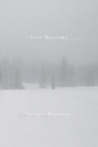 Produktbild: Into Daylight