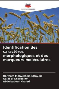 Produktbild: Identification des caract&egrave;res morphologiques et des marqueurs mol&eacute;culaires