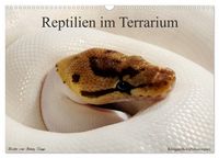 Produktbild: REPTILIEN IM TERRARIUM (Wandkalender 2027 DIN A3 quer), CALVENDO Monatskalender