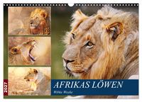 Produktbild: Afrikas L&ouml;wen 2027 (Wandkalender 2027 DIN A3 quer), CALVENDO Monatskalender