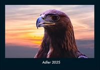 Produktbild: Adler 2025 Fotokalender DIN A4