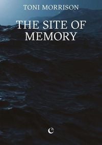 Produktbild: The Site of Memory