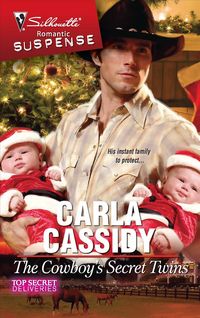 Produktbild: The Cowboy's Secret Twins