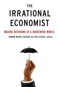 Produktbild: The Irrational Economist