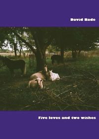 Produktbild: Five Loves and Two Wishes