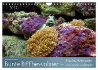 Produktbild: Bunte Riffbewohner - Fische, Anemonen und noch viel mehr (Wandkalender 2027 DIN A4 quer), CALVENDO Monatskalender
