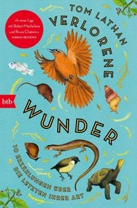 Produktbild: Verlorene Wunder