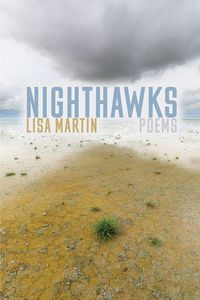 Produktbild: Nighthawks