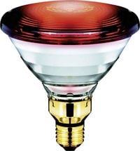Produktbild: Philips Infrarotlampe E27 150W (&Oslash; x L) 121mm x 136mm 230V 1St.