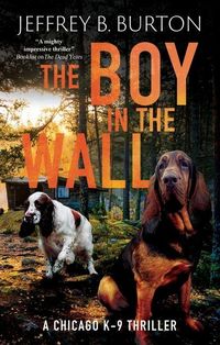 Produktbild: The Boy in the Wall