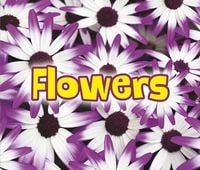 Produktbild: All About Flowers