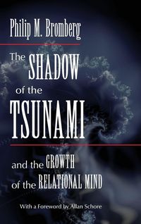 Produktbild: The Shadow of the Tsunami