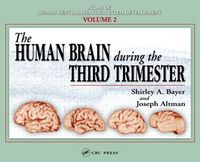 Produktbild: Human Brain During The 3rd Tri