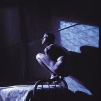 Produktbild: Birdy