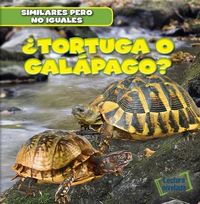 Produktbild: &iquest;Tortuga O Gal&aacute;pago? (Turtle or Tortoise?)
