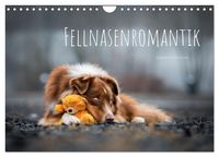 Bild vom Artikel Fellnasenromantik (Wandkalender 2024 DIN A4 quer), CALVENDO Monatskalender vom Autor Bettina Dittmann