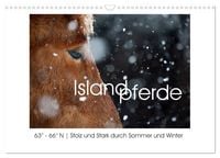 Produktbild: Islandpferde - Stolz und Stark durch Sommer und Winter (Wandkalender 2026 DIN A3 quer), CALVENDO Monatskalender