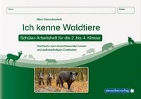 Bild vom Artikel Ich kenne Waldtiere - Schülerarbeitsheft für die 2. bis 4. Klasse vom Autor Sternchenverlag GmbH