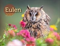 Produktbild: Eulen Kalender 2027