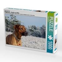 Produktbild: CALVENDO Puzzle Ein Motiv aus dem Kalender Ridgebacks - Hunde aus Afrika | 1000 Teile Lege-Gr&ouml;&szlig;e 64x48cm Foto-Puzzle f&uuml;r gl&uuml;ckliche Stunden