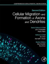 Produktbild: Chen, B: Cellular Migration of Axons and Dendrites