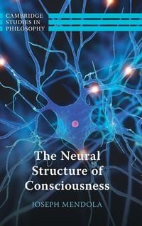 Produktbild: The Neural Structure of Consciousness