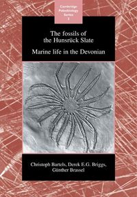 Produktbild: The Fossils of the Hunsruck Slate