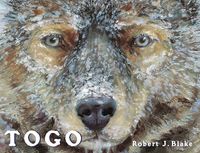 Produktbild: Togo