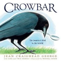 Produktbild: Crowbar
