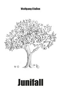 Produktbild: Junifall