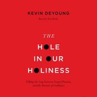 Produktbild: The Hole in Our Holiness
