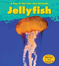 Produktbild: Jellyfish