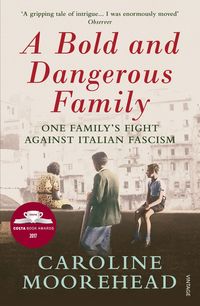 Produktbild: A Bold and Dangerous Family