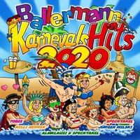 Bild vom Artikel Various: Ballermann Karnevals Hits 2020 vom Autor Various