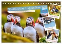 Produktbild: Tieftaucher Papageitaucher (Tischkalender 2026 DIN A5 quer), CALVENDO Monatskalender