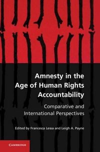 Produktbild: Amnesty in the Age of Human Rights Accountability