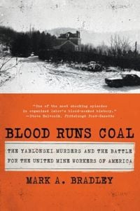 Produktbild: Blood Runs Coal