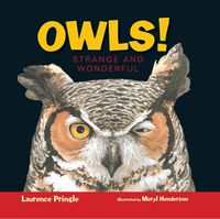 Produktbild: Pringle, L: Owls!