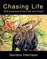 Produktbild: Chasing Life