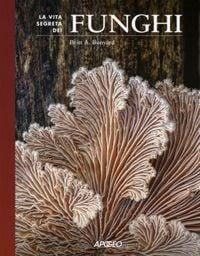 Produktbild: La vita segreta dei funghi