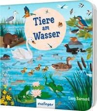 Produktbild: Mein erstes Natur-Wimmelbuch: Tiere am Wasser &ndash; Mini-Ausgabe