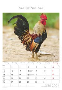 Hühner 2024 - Bildkalender 23,7x34 cm - Kalender mit Platz für