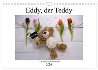 Produktbild: Eddy, der Teddy - 12 Bilder zum Schmunzeln (Wandkalender 2026 DIN A4 quer), CALVENDO Monatskalender